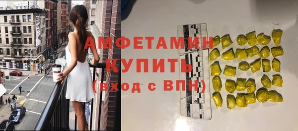 шишки Новодвинск
