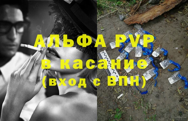 сатива Алексеевка