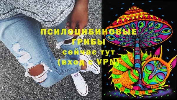 эйфоретик Алзамай